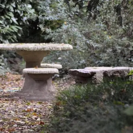 Carrobbio Bed&breakfast * Cremona